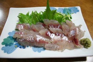 カマスってどんな魚 仕掛けやタックル カマスのの上手な釣り方から美味しい食べ方まで大特集