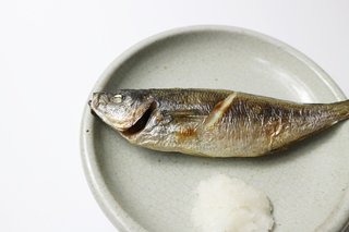 タカベってどんな魚 小型の高級魚タカベを釣って食べてみよう