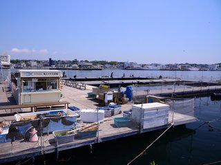 初心者におすすめの大阪 釣り堀特集 子供と一緒に釣りを楽しもう