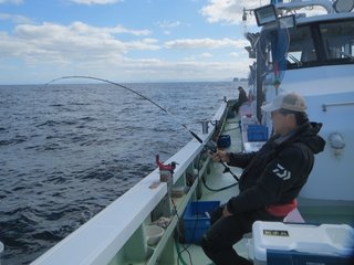 マダラの釣り方を解説 エサ釣りやジギングで楽しめるマダラ釣り特集