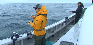 ライトタックルで釣りたい 船釣りで流行りのltにおすすめのロッド リール特集