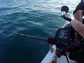 シマノのアリビオで釣りを楽しみたい コスパ優秀なスピニングリールのエントリーモデル