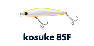 アイマのコスケで釣りたい！シーバスゲームで頼りになるコスケ