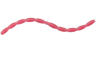 シラサエビをエサにして魚を釣りたい ハリへの付け方や弱らせないコツを伝授