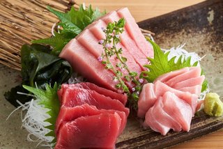 カイワリを釣って刺身で食べたい アジ科の美味しい魚を徹底チェック