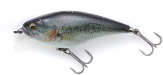 イマカツのゲキアサシャッドで釣りたい！実釣インプレやおすすめ