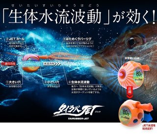生体水流波動の写真