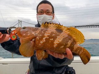 キジハタの写真