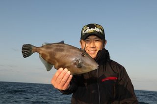 ウマズラハギの写真