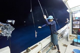 釣行の写真