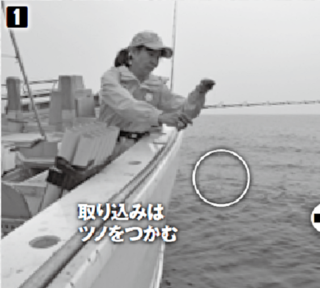 取り込みの基本動作