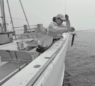 取り込みの基本動作