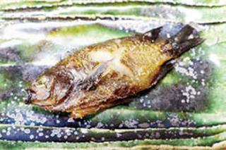 スズメダイの塩焼きの写真
