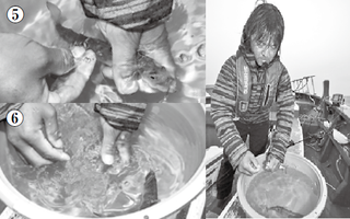 イワシエサの付け方の写真