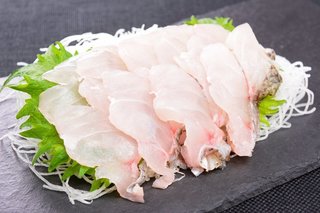 ニベってどんな魚か知ってる 釣り方や食べ方 おすすめのタックルをチェック