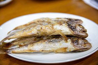 ニベってどんな魚か知ってる 釣り方や食べ方 おすすめのタックルをチェック