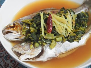 ニベってどんな魚か知ってる 釣り方や食べ方 おすすめのタックルをチェック