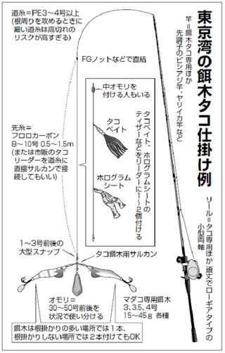 夏のマダコ釣りステップアップ講座 手釣り 餌木タコ