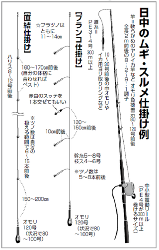 夏のイカ釣りステップアップ講座 日中のムギ スルメと夜ムギイカ