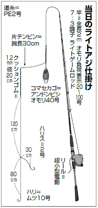 スタートから食い活発 潮止まりも一荷で連釣 東京湾奥金沢八景出船のアジ