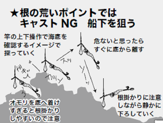 根の荒いポイントの図