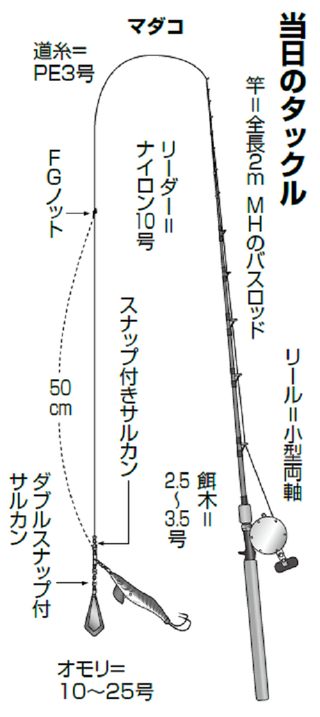 当日のマダコのタックルの図