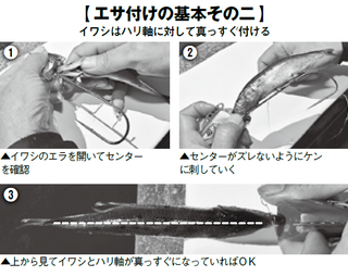 エサ付けの写真