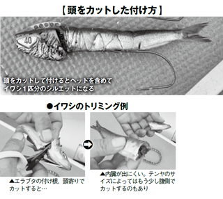 頭をカットした付け方の写真