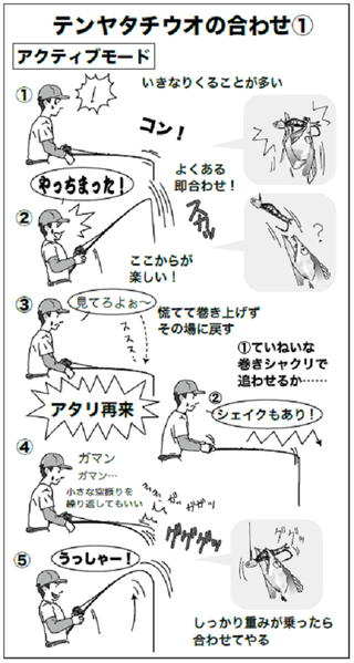 合わせの図
