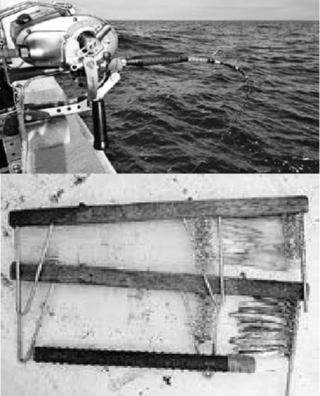 レンタル品の写真