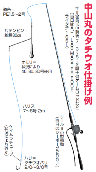 タチウオ仕掛けの図