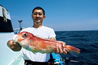 45.5cmのアマダイをつかむ男性