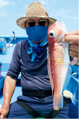 アマダイをつかむ男性