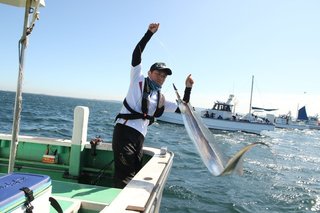 今年もドラゴン級を狙い撃ち！東京湾のテンヤタチウオ入門の手引き