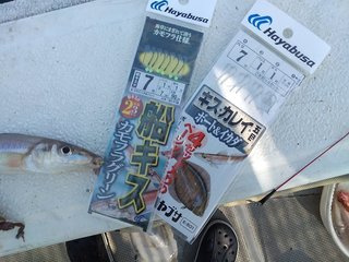 釣り方解説あり 家島の磯周りの船キス釣り 数 型ともに狙えるフィールド とてもおいしい夏のキス