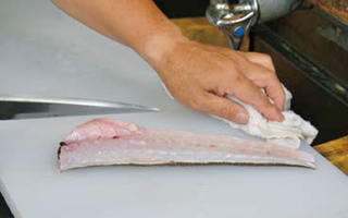 マゴチ三枚おろし