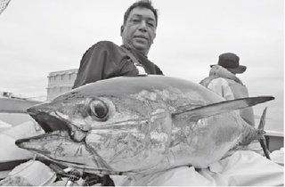 釣行の写真