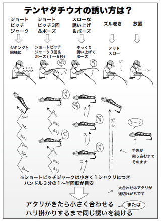 タチウオ釣り大型主義宣言 東京ドラゴン研究所 前編