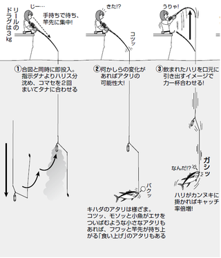 置き竿＋電動巻き上げ釣法