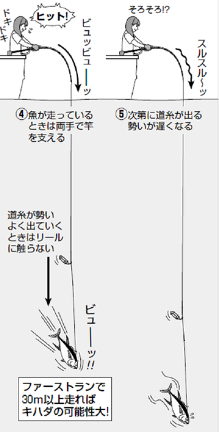置き竿＋電動巻き上げ釣法