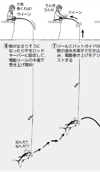 置き竿＋電動巻き上げ釣法