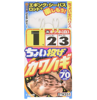 ちょい投げ釣りの仕掛けでさまざまな魚を釣り上げたい おすすめロッドもチェック