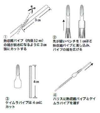 待ってました キハダ カツオ 前編