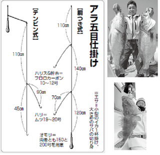 アラ五目仕掛け