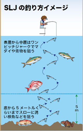 SLJの釣り方イメージ