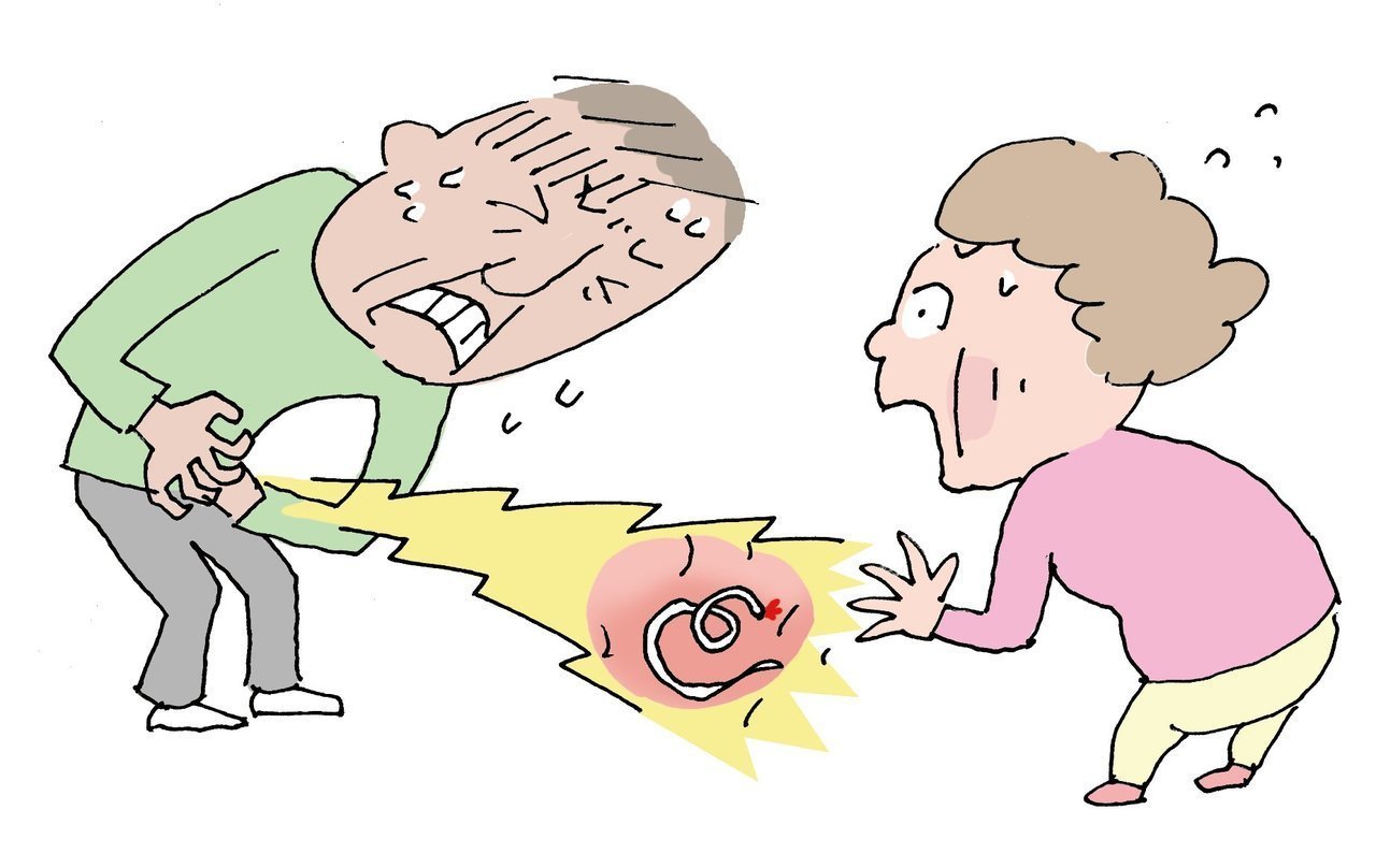 アニサキスによる食中毒