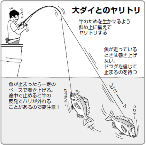 釣り方の図