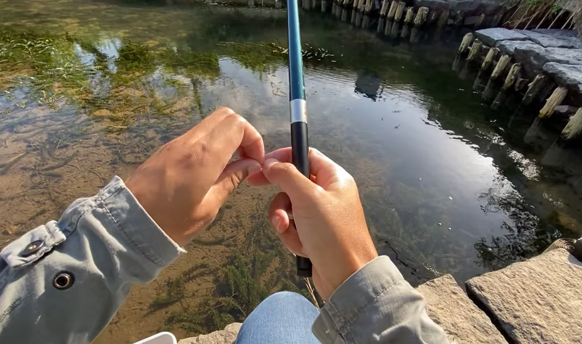 釣り場の遠景写真