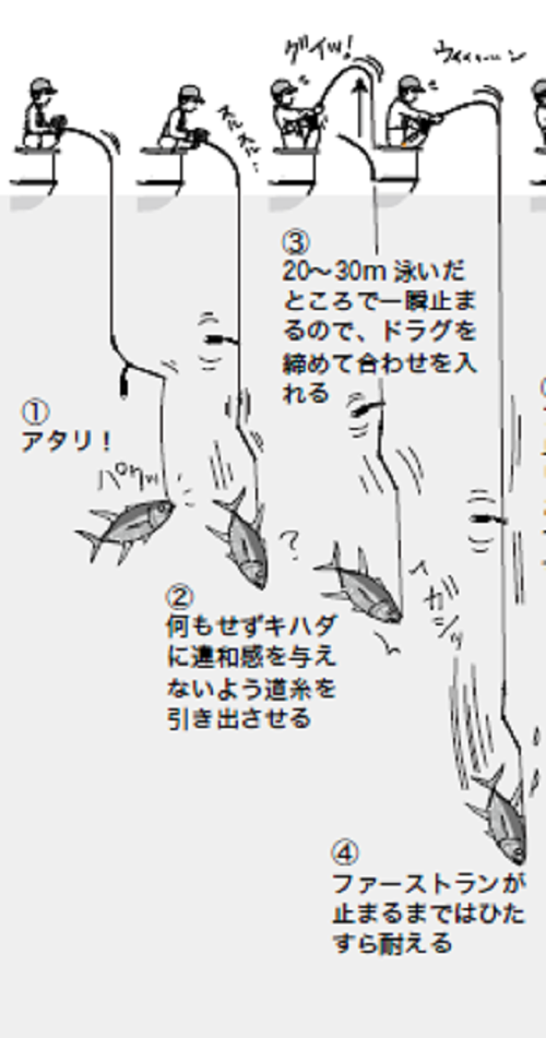 コマセワークの図