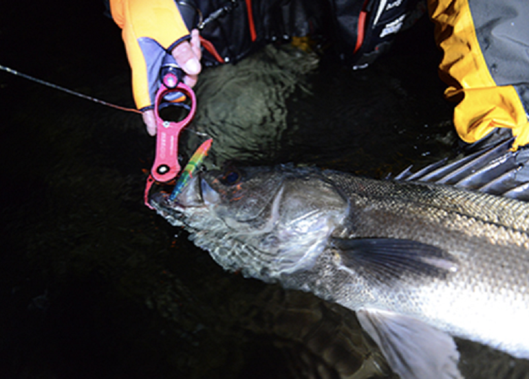 魚とルアーのアップ写真
